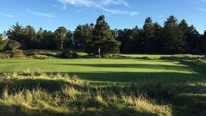 Campo de golf con bandera, árboles y cielo despejado.