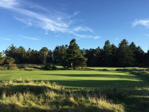 Campo de golf con bandera, árboles y cielo despejado.