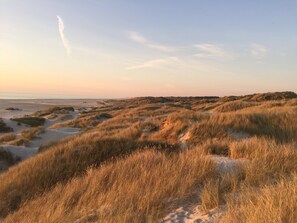 Beach - Ideal holiday apartment for active relaxation (Pandrup)