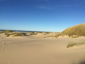Ein Sandstrand mit Dünen und dem Ozean im Hintergrund.