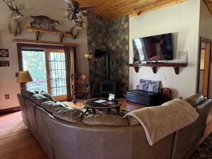 Smart TV, fireplace, books