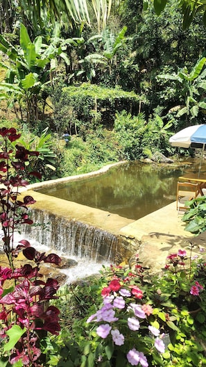 A garden with a small waterfall, lush greenery, and a wooden bench.