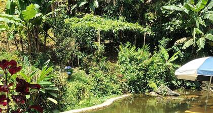 House in Serra do Piloto with natural pool, waterfall runs throughout the property.