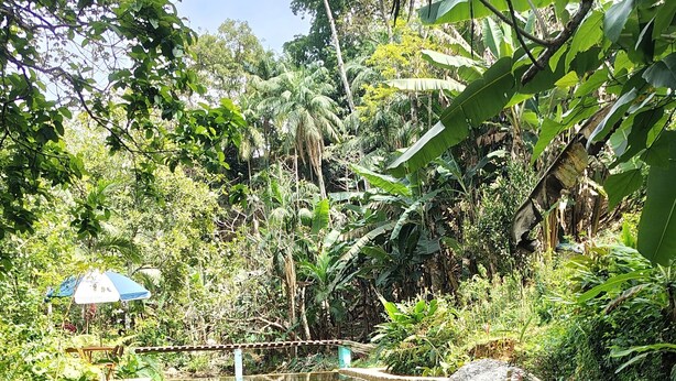 Unclassified image, 1 of 26, button - House in Serra do Piloto with natural pool, waterfall runs throughout the property. (Vila Muriqui)