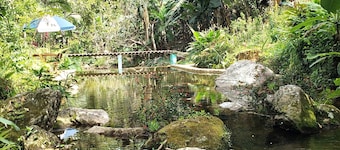 Casa na Serra do Piloto com Piscina Natural, cachoeira corta todo a propriedade