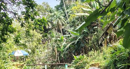 House in Serra do Piloto with natural pool, waterfall runs throughout the property.