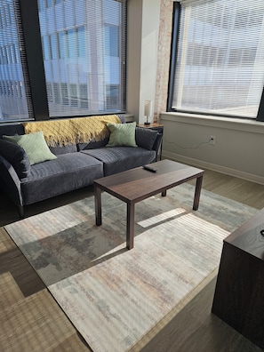 Living area - High rise luxury apartment downtown Wichita (Wichita)