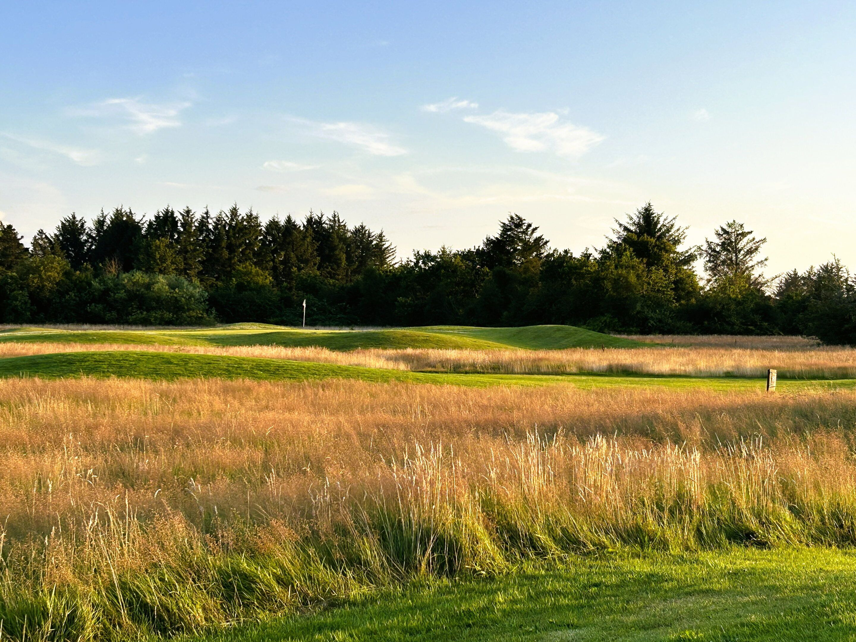 A golf course with a flagstick, grassy areas, and a line of trees in the background.