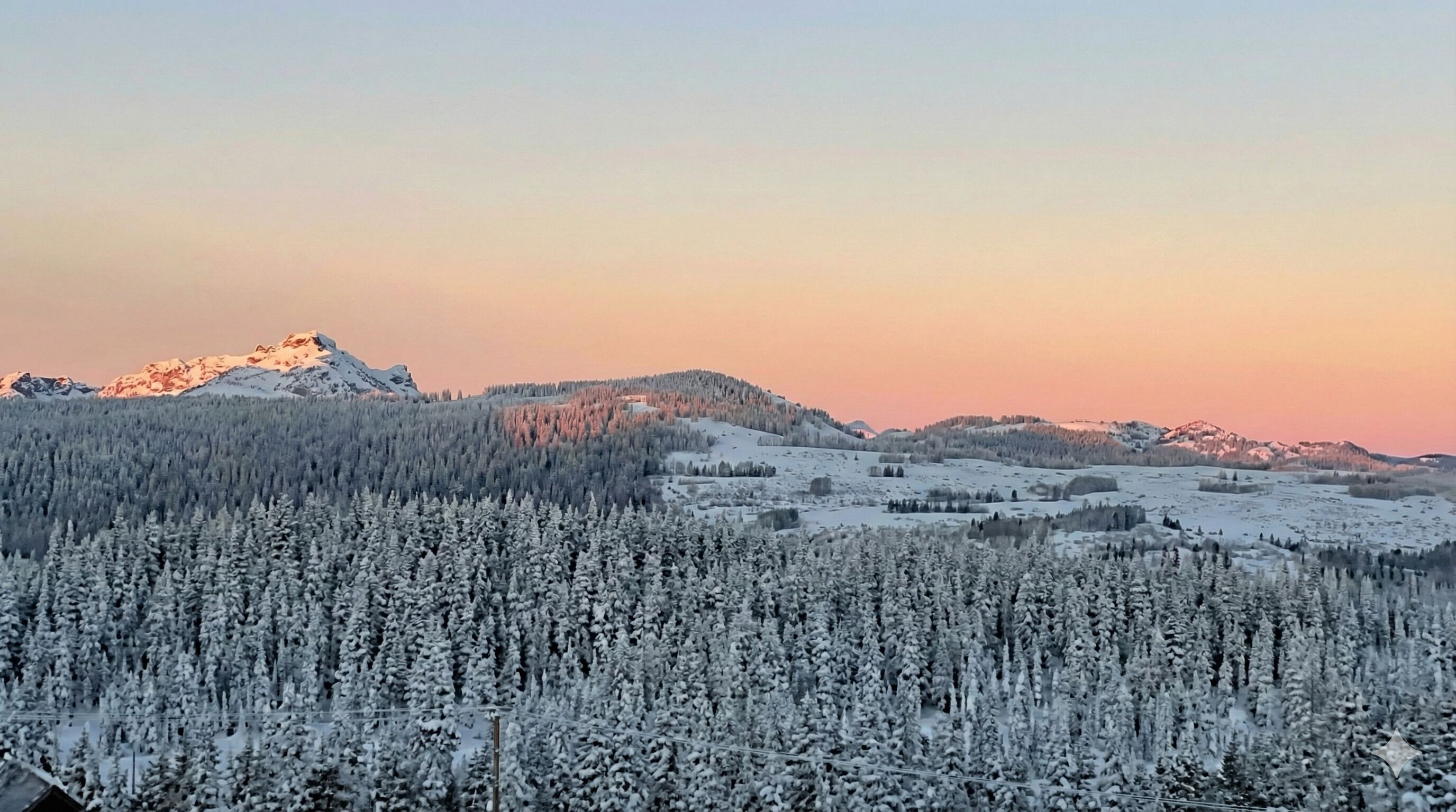 Condo | Miscellaneous