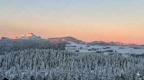 Miscellaneous - Penthouse MW (Courtenay)