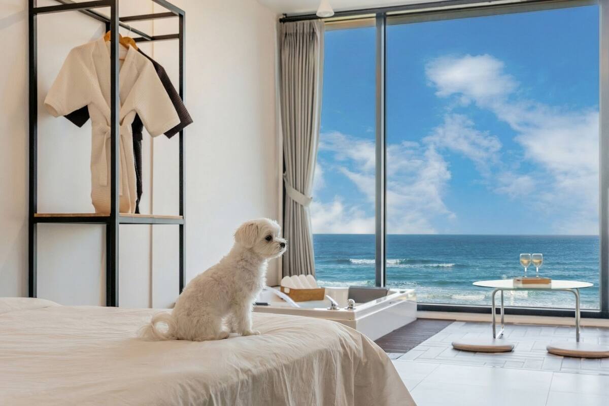 Basic Room, 1 Bedroom (402)