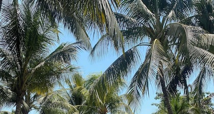 Villa palmeras, villa a few steps away from the beach