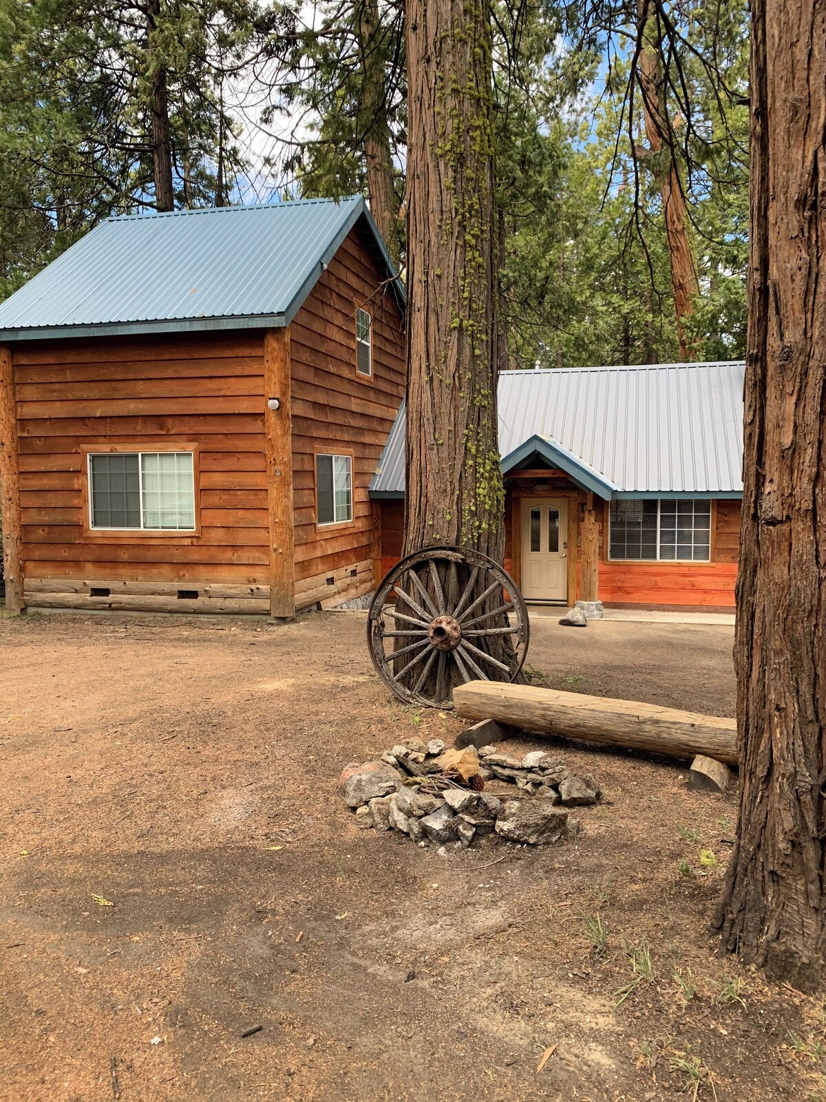 Værtens profilbillede