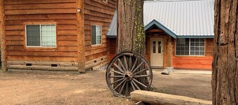 Updated historic west Village Cabin sleeps 6 adults 4 kids