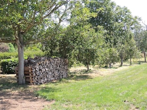 Property grounds - De Kergalet - PLEGUIEN (PLEGUIEN)