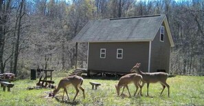 Exterior - Walnut Falls Escape Cabin (Rome Township)