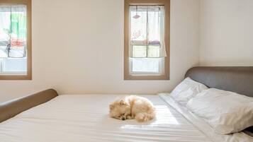 A bed with a fluffy dog sleeping on it, two windows with curtains, and a plain wall.