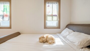 A bed with a fluffy dog sleeping on it, two windows with curtains, and a plain wall.