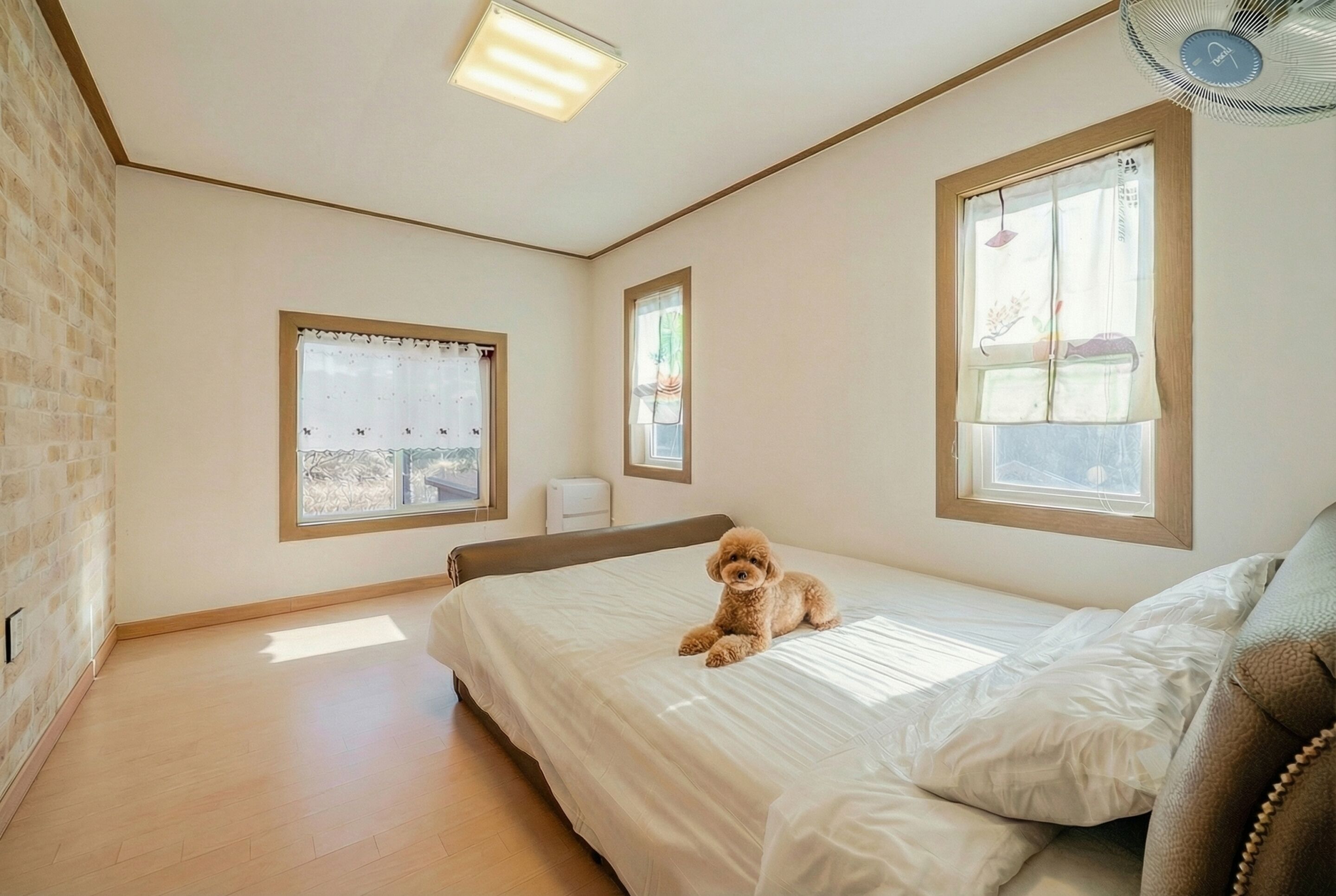 Rom – basic, 3 soverom (Room 1 (Group/Pet-Friendly/Private)) | 1 soverom og wi-fi (inkludert)