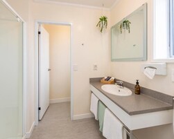 Shower, hair dryer, towels, soap