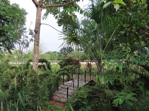 Property grounds - MORICHE PURA VIDA (San Jose del Guaviare)