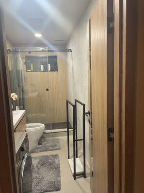 Ducha, secador de pelo, bidé y toallas