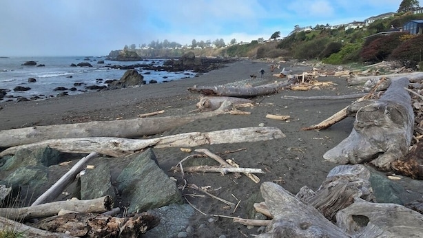 Une plage parsemée de bois flotté et de rochers, un ciel dégagé et des maisons en arrière-plan.