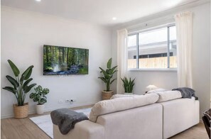 Fernseher