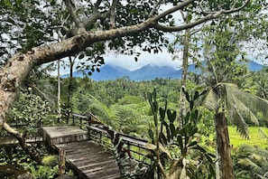Property grounds - Four Mountains Villa Bedugul (Mekarsari)