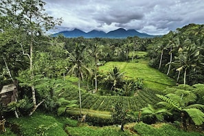 View from property - Four Mountains Villa Bedugul  (Mekarsari)
