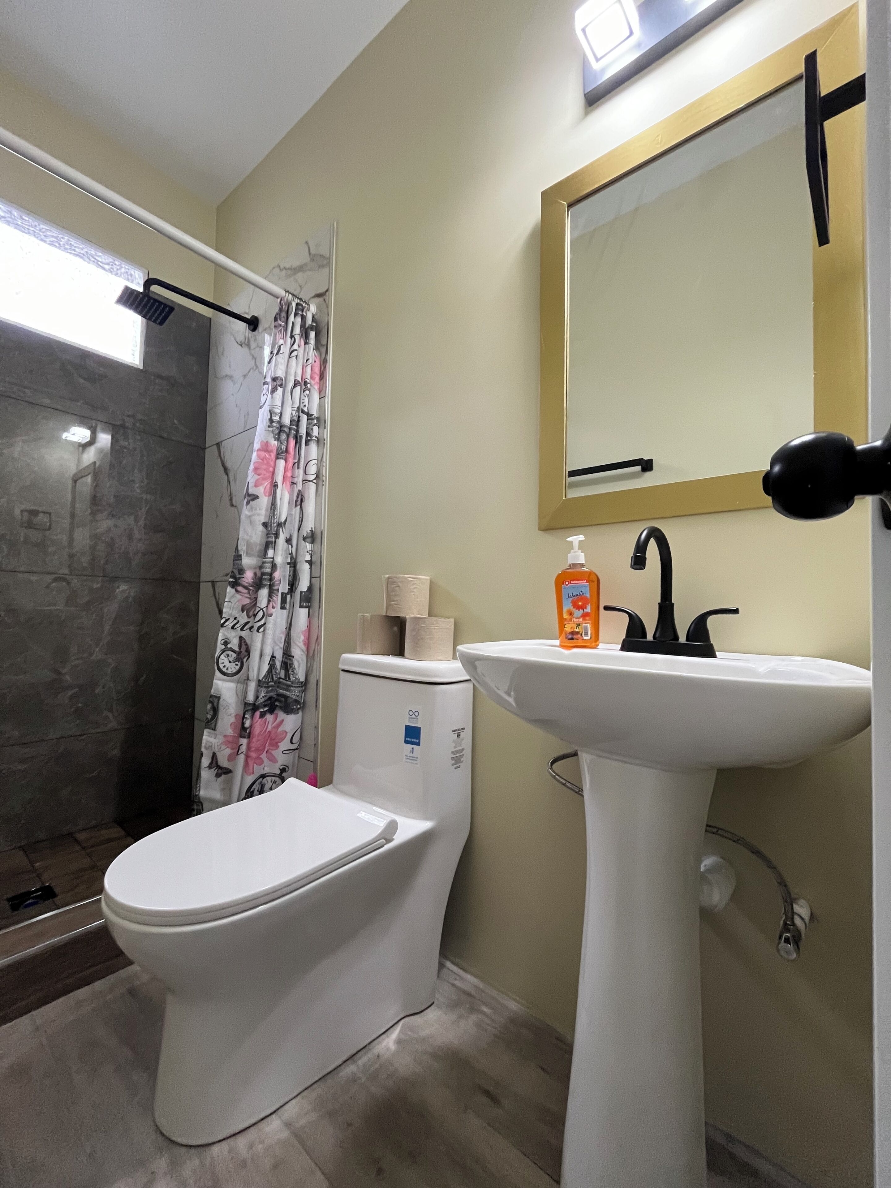 Asciugacapelli, asciugamani, sapone, carta igienica