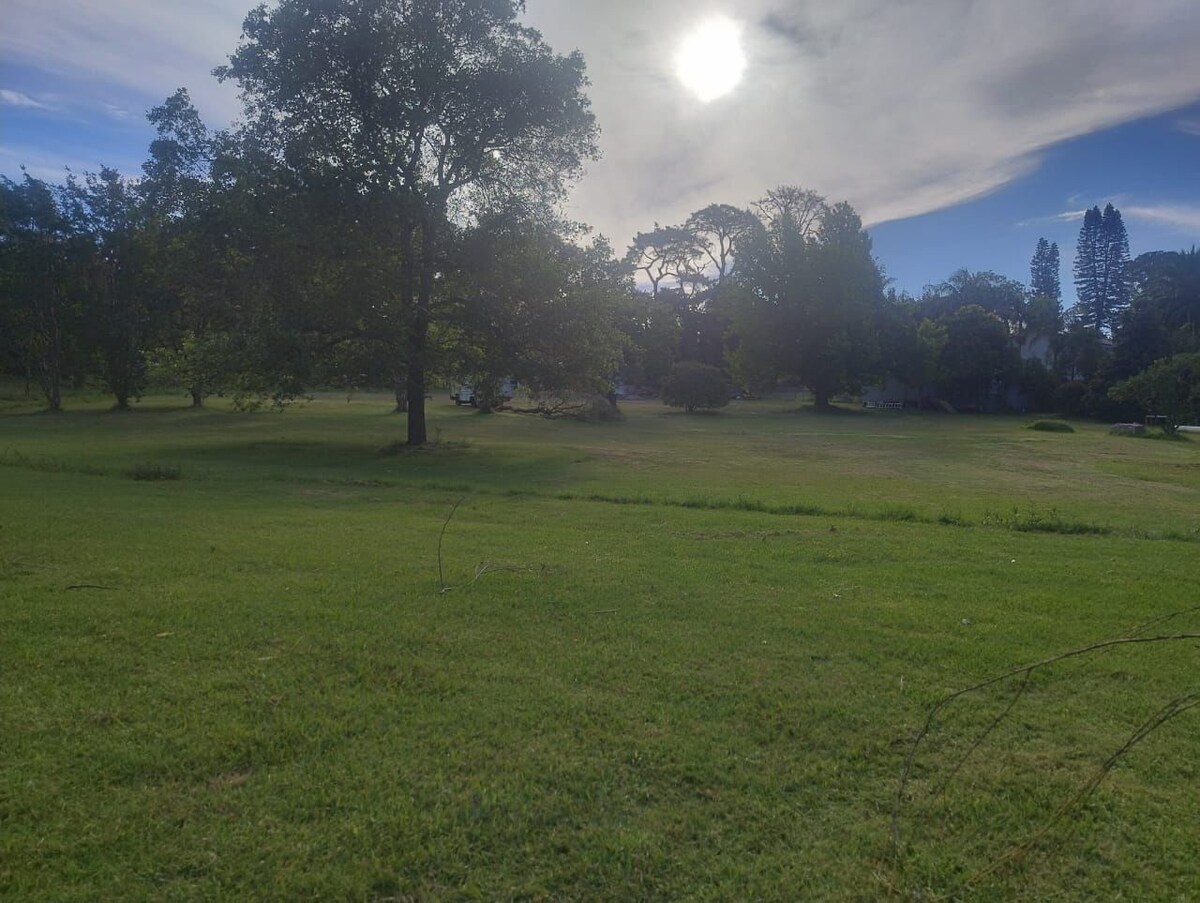 オーナーのプロフィール画像