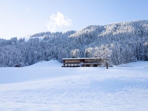 Exterior - Farmhouse holiday apartment with stunning views (Alpbach)