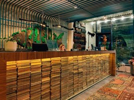 Zona de recepción con mostrador de madera, una computadora portátil y una planta.