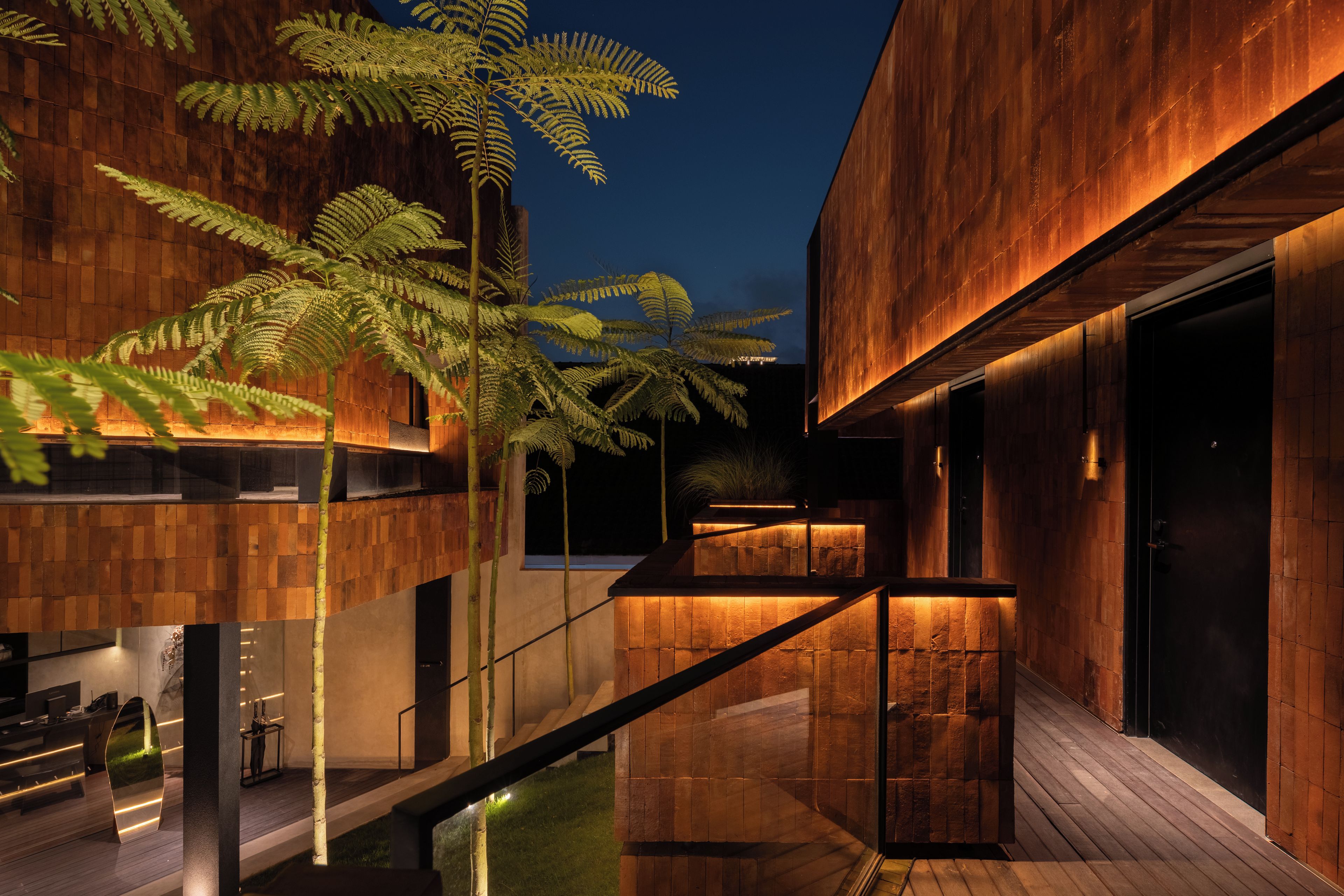 Un edificio moderno con fachada de madera, una escalera de cristal y un espacio exterior bien iluminado con helechos.