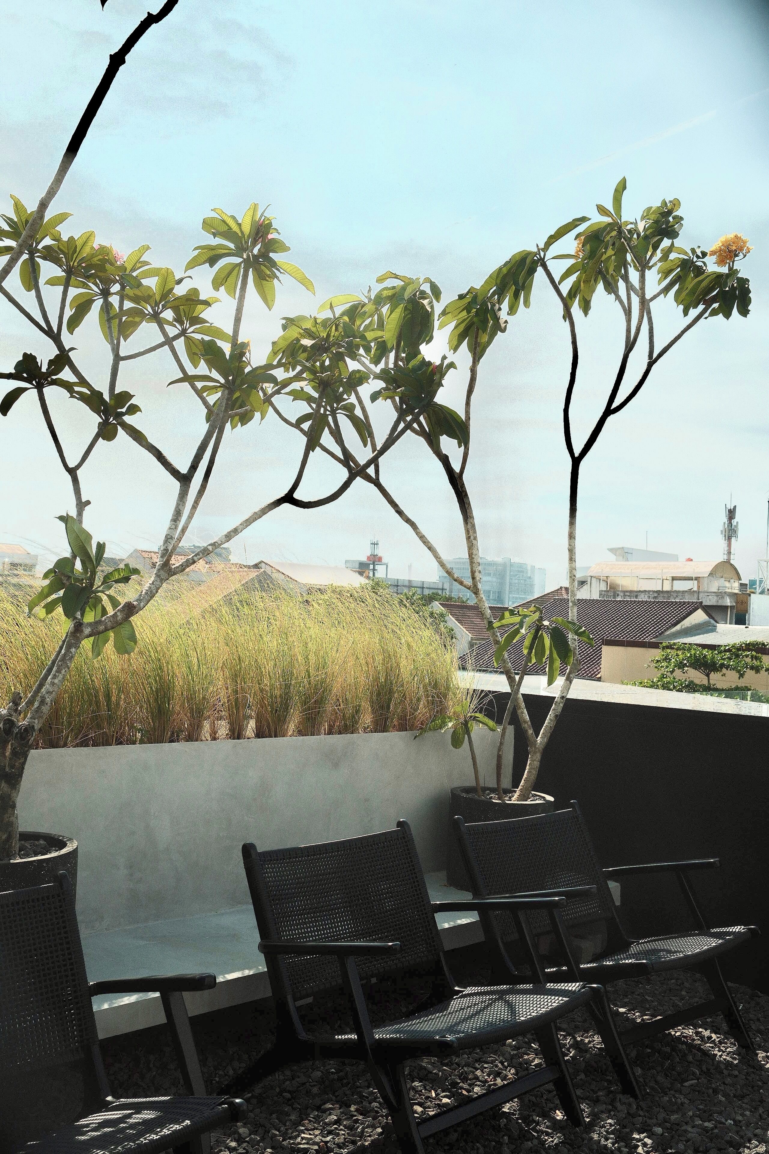 Rooftop terrace