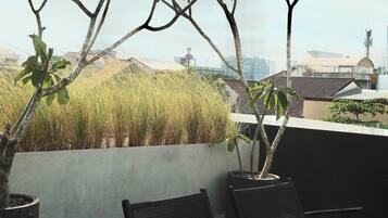 Rooftop terrace