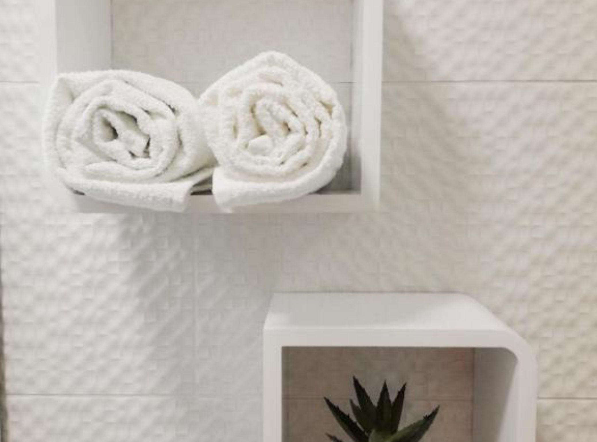 A bathroom with a white towel dispenser holding two rolled towels.