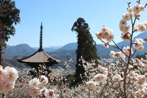 Miscellaneous - NARA INN (Nara)