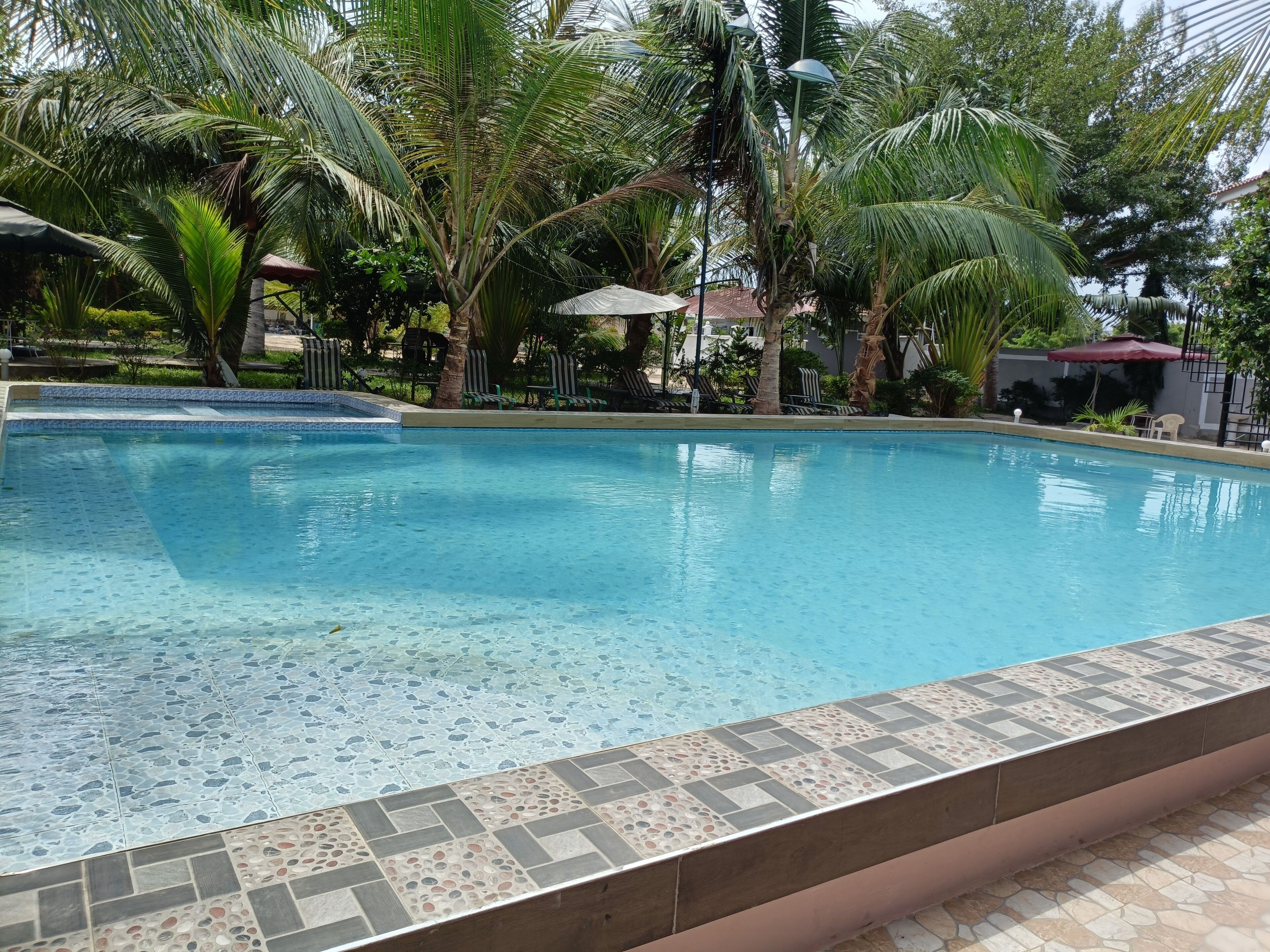 A swimming pool with tiled edges, surrounded by palm trees and lounge chairs.