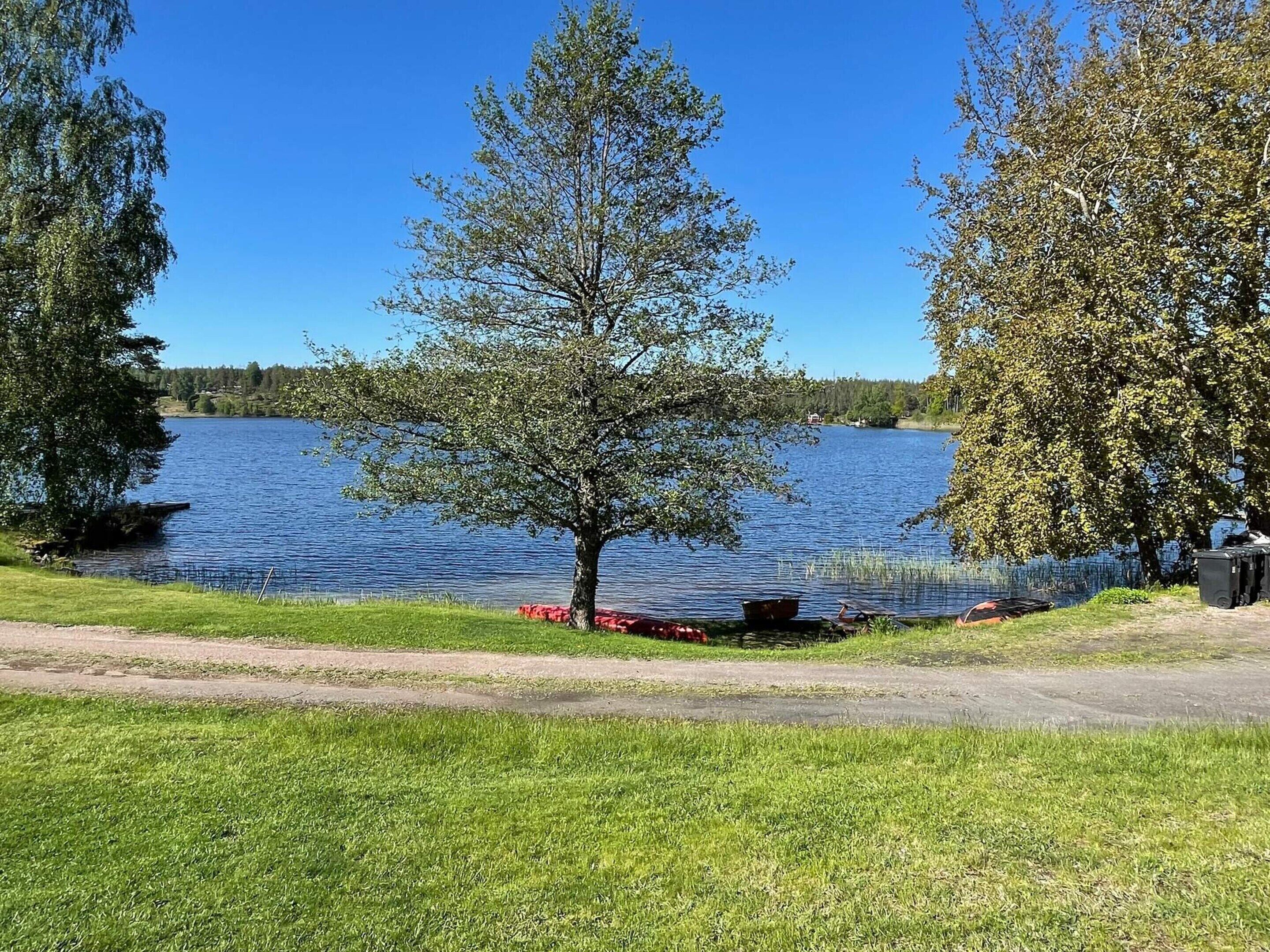 A lakeside view with a tree, grass, and a dock.