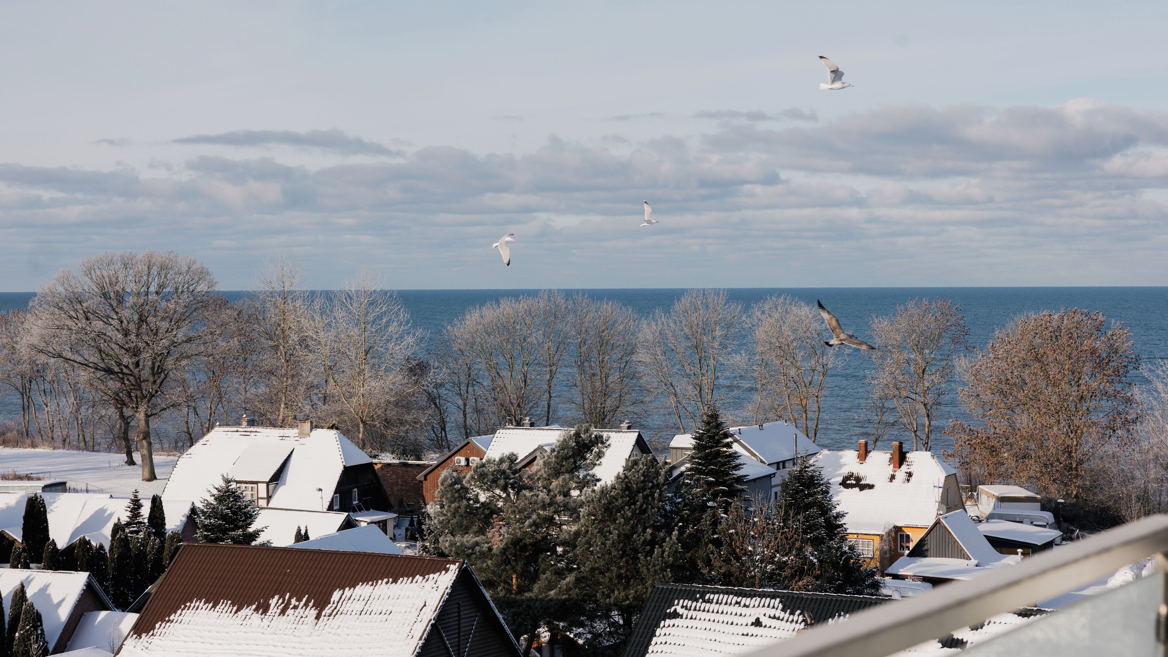 Apartment (18) | Terrace/patio