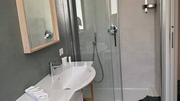 Shower, hair dryer, bidet, towels