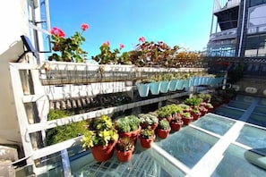 A rooftop garden with potted plants and a glass enclosure. - 798 Inn (Dali)