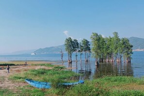 A beach with a boat, water, and trees. - 798 Inn (Dali)