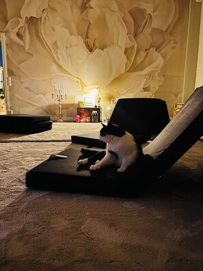 Interior - Pohjolan Kajo (Maenttae-Vilppula)