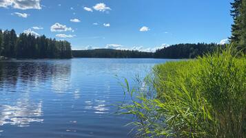 Un lago tranquilo con reflejos nítidos, rodeado de un bosque frondoso y hierba alta.