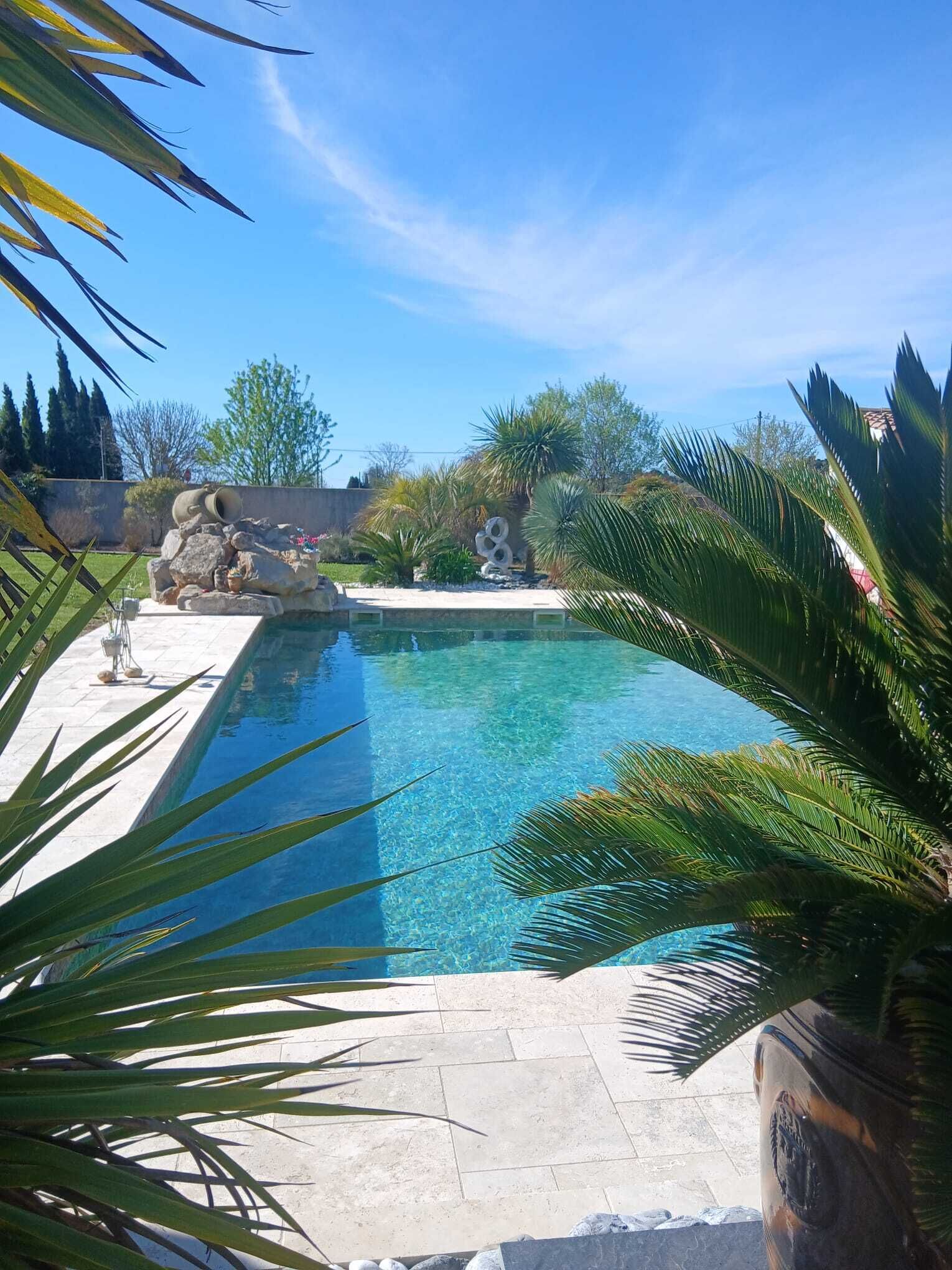 Una piscina cristalina rodeada por un patio con baldosas de piedra, palmeras y una formación rocosa decorativa.