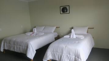 Two single beds with white bedding and wooden headboards in a room with light-colored walls.