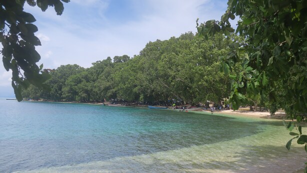 A beach with clear water, trees, and a sandy shore. - Zaru Hotel (Gizo)